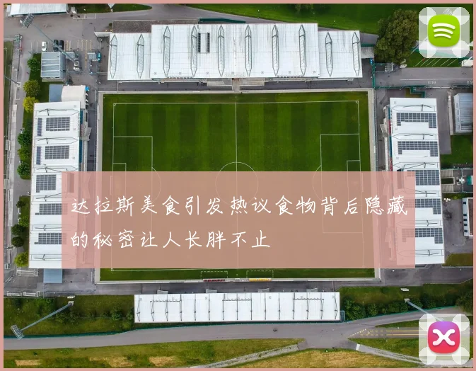 达拉斯美食引发热议食物背后隐藏的秘密让人长胖不止
