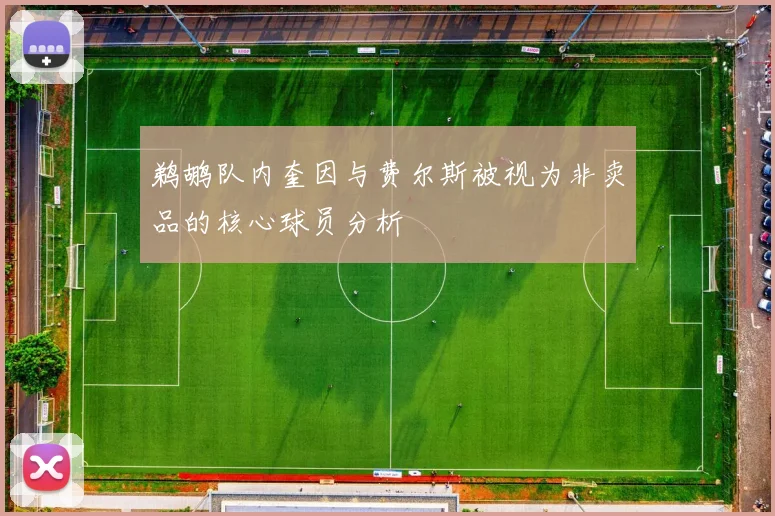 鹈鹕队内奎因与费尔斯被视为非卖品的核心球员分析